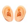 Silicone Ear Model, Set of 2 (Left and Right), Artificial Ear Dummy, for Ear Acupuncture, Suture Practice, Painting, and Art