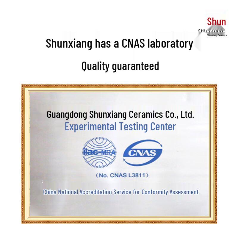 Shunxiang Phoenix Glory Nordic 20-Piece Ceramic Dinnerware Set