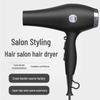 2400W High-Power European Standard Hair Dryer with Negative Ion Technology for Salons