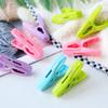 30pcs Multifunctional Plastic Small Clip With Storage Basket Quilt Towel Clip Strong Windproof Clip Underwear Socks Clothes Clip