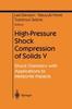 Книга High-Pressure Shock Compression of Solids V : Shock Chemistry with Applications To Meteorite Impacts