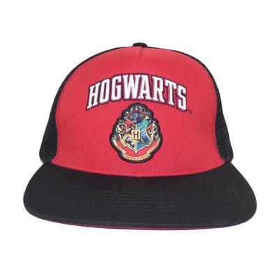 HARRY POTTER Кепка колледжа Хогвартс