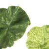 Кухонный декор Пластиковые искусственные листья салата Зеленые зеленые овощи Искусственные листья салата Украшение для вечеринки