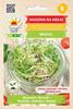 Broccoli Seeds for Sprouts 10g Vegetables for the Garden Fresh Large Crops