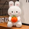 New Cute Little White Rabbit Doll Creative Beautiful Persimmon Rabbit Plush Toy Doll Doll Girl Birthday Gift
