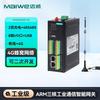 Maiwei Edge Computing Industrial IoT Gateway