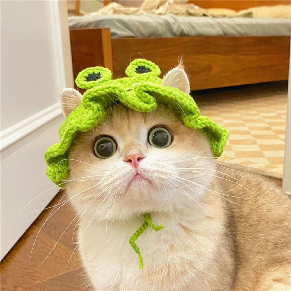 Winter 2023 Warm Elastic Crochet Cat Hat Frog Hat Pet Cap for Party Photo Props