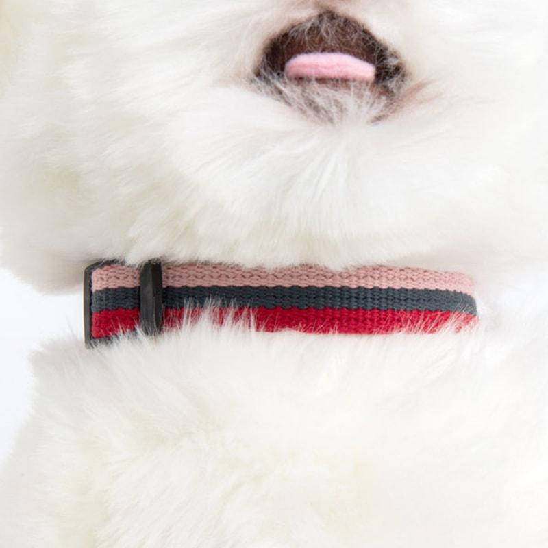 [Pet] Трехцветный поводок 1,5 см