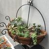 Yard Wall Hanging Succulents Flowers N1N Flower Pot Garden Supplies Decoration Hanging Basket