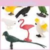 Kids Wild Bird Replica Pvc Educational Toy For Science Projects And Gift