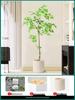 Artificial Nandina Domestica Potted Plant for Home Decoration - Green Ornamental Bonsai for Living Room or Sofa Side Decor.