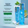 Зубная паста Sanqi Fresh с мятой