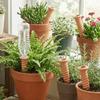 Automatic Irrigation Self-Watering Terracotta Stakes Terracotta Watering Device  Office