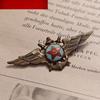 Eastern 2024-33 Soviet Red Navy Pilot's Badge Red Star Five Star Aviation Medal
