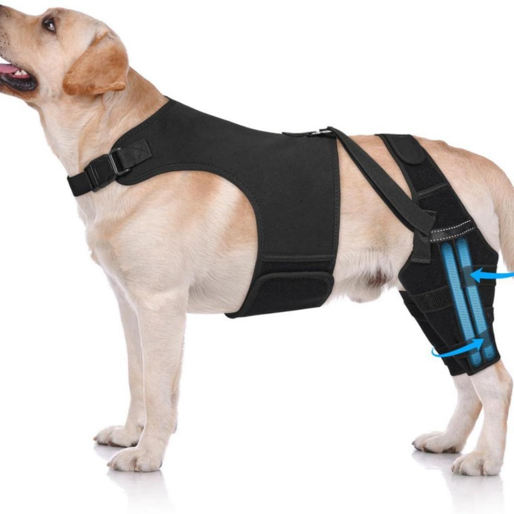 Knee pads for dogs with ACL injury of hind legs, adjustable with 4 stabilizers, suitable for large, medium and small dogs, assisting hip joint, relie