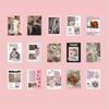 Olive Party Vintage Photo Background Paper Postcard 60-Sheet Photobook Set, Pink, 1 Set
