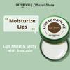 Avocado & Olive Lip Balm, 12gr