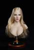 Scale Action Figure SUPER DUCK SDH018 TBLeague Body Compatible OL Office Lady Beautiful Female Head and Clothes Not [TOYBARJAPAN] 1/6 (body Included)