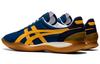 ONITSUKA TIGER Ohbori Ex 'Сине-желтый' 1183A806-400