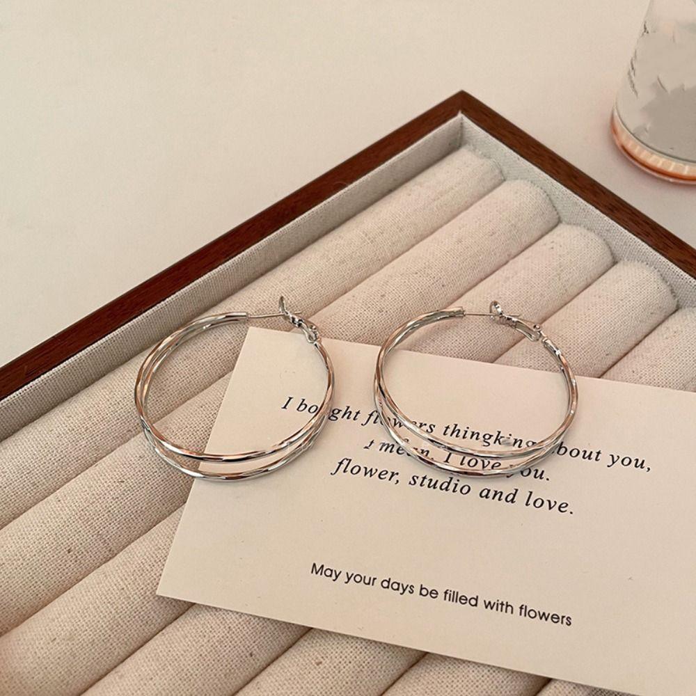 Крючок Пирсинг Круглые Серьги Женские Украшения Для Ушей Украшения Для Ушей Аксессуары Круглые Серьги Кольца Дамы