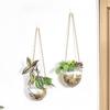 Transparent Hydroponic Hanging Vase Glass Flower Arrangement Bottle Flower Pot  Living Room