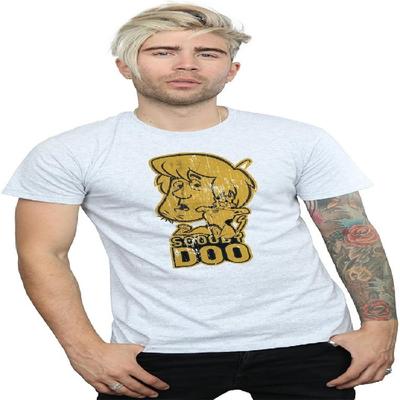 Мужская футболка Scooby Doo и Шэгги, цвет Sport Grey, размер S