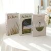 Book Shelf Display Fake Books Ornament Photography Prop Simulation Book  Home Decoration