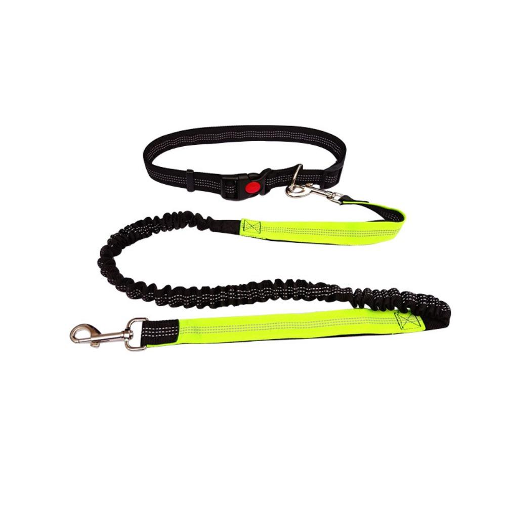 Double Stretch Pet Walking Leash Waist Belt Dog Traction Rope Hand Free Dog Leash  Jogging
