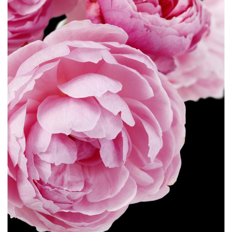 Yodeyma Adriana Rose Perfumed Water for Women 100ml