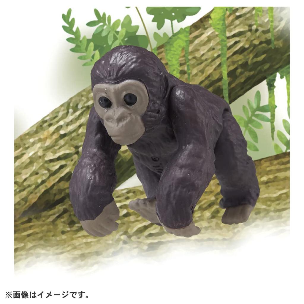 TAKARA TOMY """Аня AC-03 Горилла""" (ребенок)"""Животное Динозавр Реалистичная Движущаяся Фигурка Игрушка для Возраста 3+ Лет, Соответствует Стандартам Безопасности Игрушек, Знак ST, ANIA"""