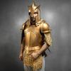 Medieval Knight Armor King’s Guard Half Body Cuirass Suit, LOTR-Inspired Fantasy Cosplay LARP Costume