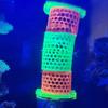 Aquarium Coral Transplanting Box 3D Printing Coral Mounting Tools  Aquarium Use