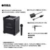 Audio-Technica ATW-SP1910/MIC Digital Wireless Amplifier System, 1.9GHz Band, Includes One Microphone