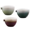 Ceramic Matcha Tea Bowl Handmade 350ml for Tea Lovers Family Whisking Matcha