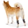 Pet Knee Pads, Elderly Dogs, Auxiliary Support for Exercise, Dog Hind Legs, Dog Leg Protection Covers