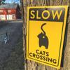 Slow Cats Crossing Sign Black Kitten Ass Cross Warning Sign Home Office