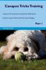 Книга Cavapoo Tricks Training Cavapoo Tricks & Games Training Tracker & Workbook. Includes : Cavapoo Multi-Level Tricks, Games & Agility. Part 1