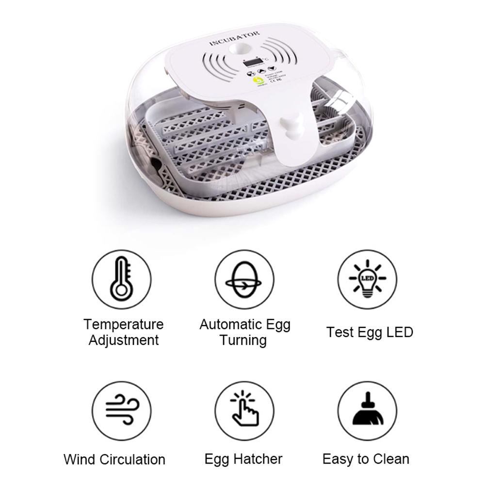 Egg Incubator for Hatching with Automatic Egg Turning Led Egg Test Lamp Clear Lid Easy To Wash 16