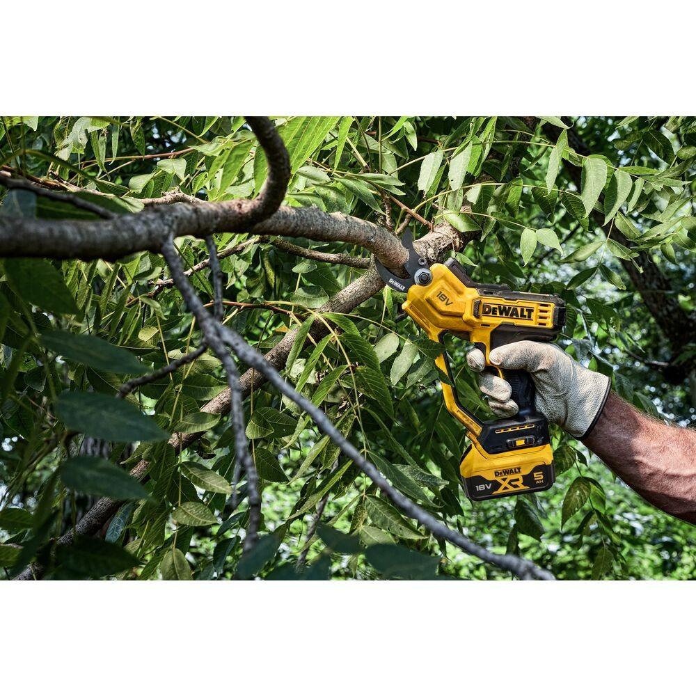 Battery Pruning Shear 18V Xr 1*5.0Ah - Dw Dcmpp568P
