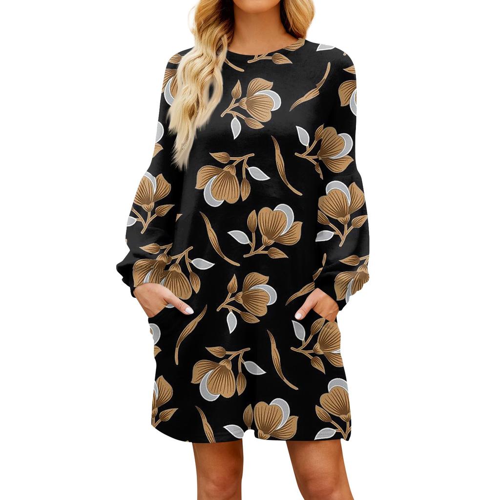 Fashion Womens Long Sleeve A Line Dress Fall Casual Pullover Crewneck Loose Fit Dress With Pockets