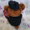 [USED] ORIENT EXPRESS Porter Bear Teddy Bear