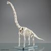 BANDAI SPIRITS Planosaurus Brachiosaurus Color-coded Plastic Model