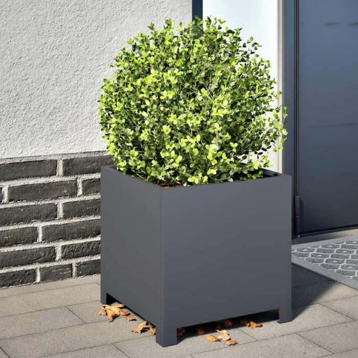 VidaXL Jardinière anthracite 40x40x40 cm acier, planteur, jardinière de patio, bac à fleurs, jardinière d'extérieur, boîte à 851203