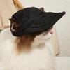 Pet Hat with Ear Holes Breathable Mesh Adjustable Small Dogs Cats Teddy Pug Chihuahua Shih Tzu Yorkshire Terriers Puppy Baseball Hat Outdoor Travel