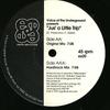 12-дюймовая пластинка VOICE OF THE UNDERGROUND - Jus' A Little Trip ES20 Empire State Re 1995 US Танцевальная и Электронная Б/У