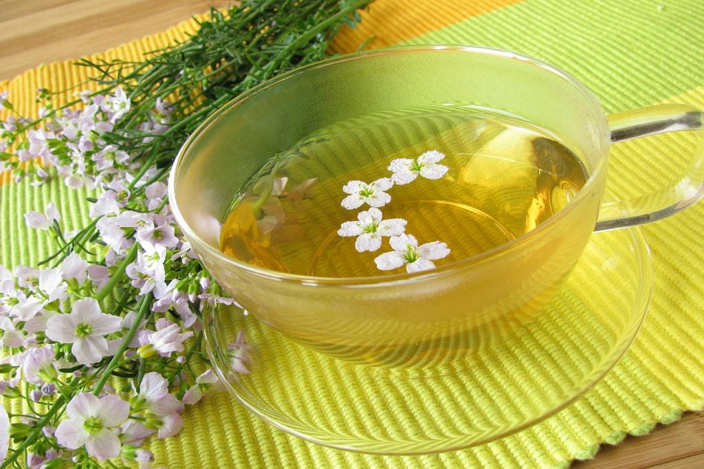 SAFLAX - Garden in the Bag - Cuckooflower - 100 seeds - With substrate in a fitting stand up bag - Cardamine pratensis