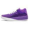 LaMelo Ball x Clyde All-Pro Purple Glimmer Унисекс Кроссовки Белые 379339-01