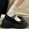 Platform Mary Jane Shoes 2024 New Women's Shoes Women Thick Heels Trendy Street Lolita Shoes Round Toe Ankle Strap  Pumps