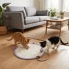 Scratch Resistant Cat Scratching Toy Wear-Resistant Dog Mattress Cat Climbing Mat  Indoor Use