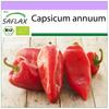 Organic - Sweet Pepper - Long Red Marconi - 20 Seeds - Capsicum Annuum